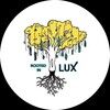 rooted_in_lux